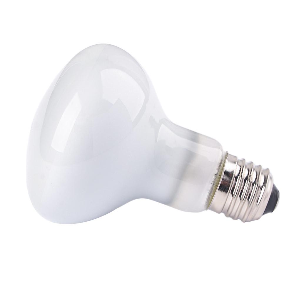 Hagedisverwarmer warmtelamp UV - Basking Bulb Halogen recensie en prijs