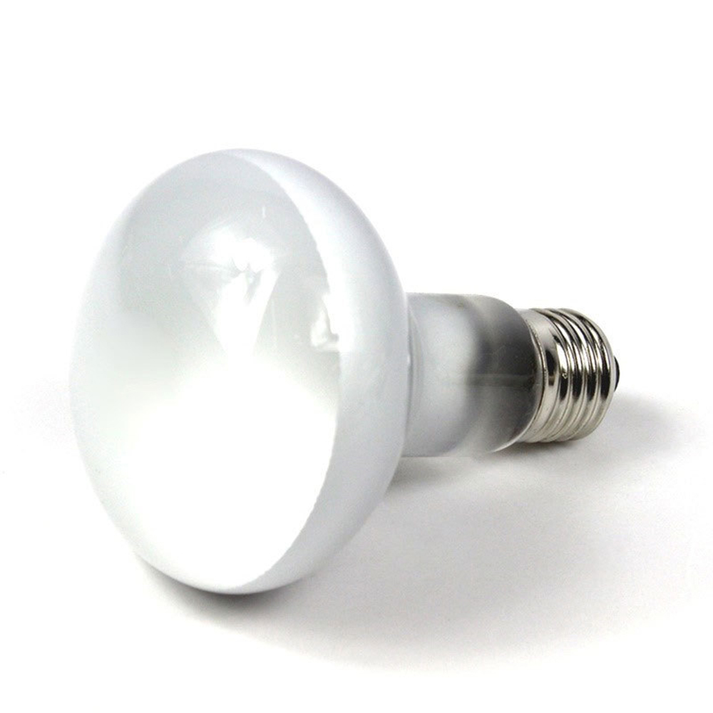 Schildpad Warmtelamp Verwarmin - Basking Bulb Halogen recensie en prijs