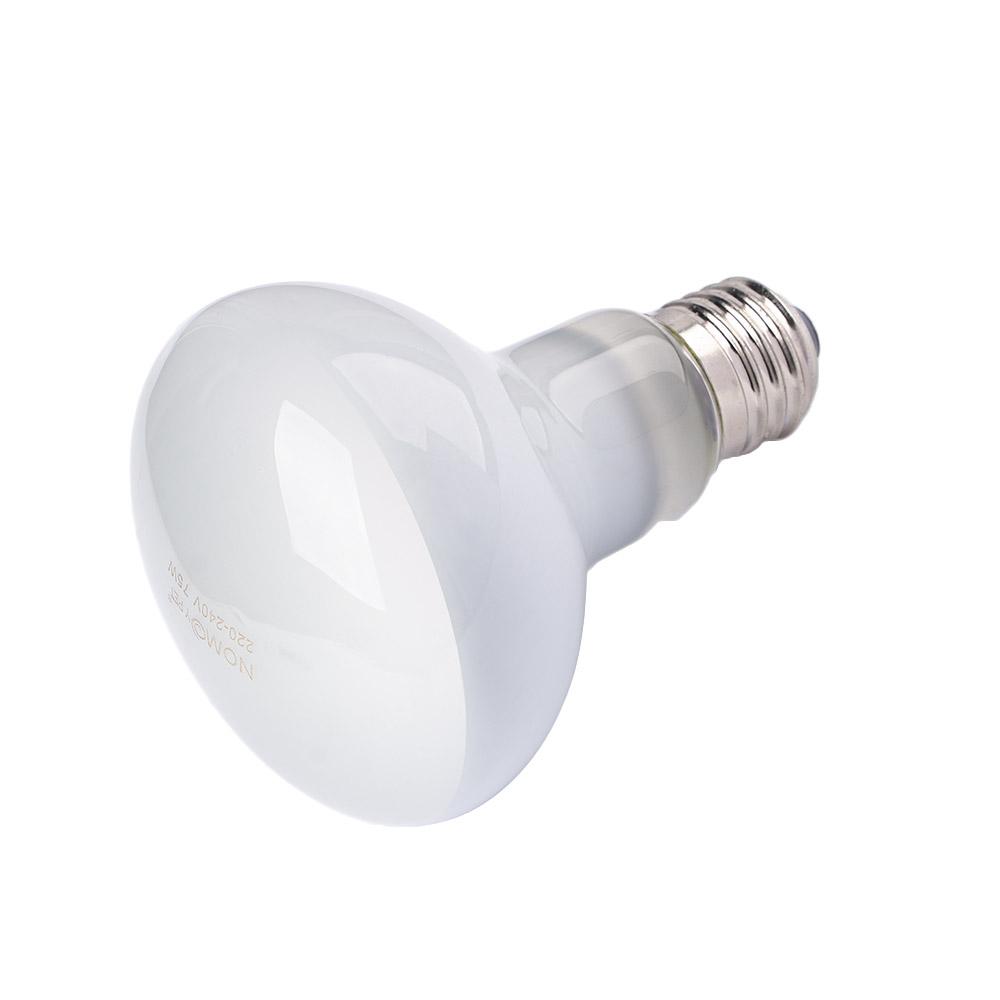 Schildpadverwarmer Temperatuur - Basking Bulb Halogen recensie en prijs