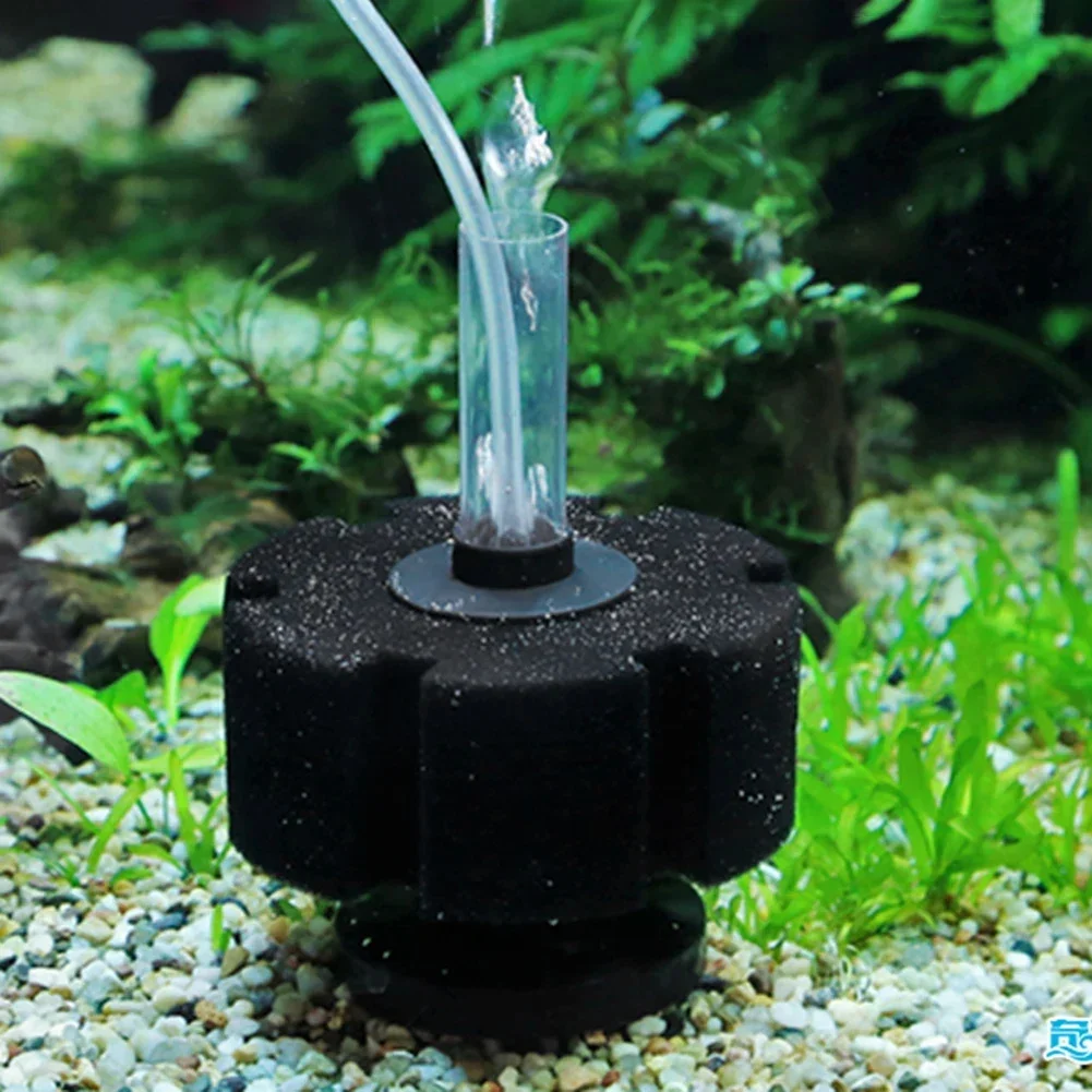 Aquariumfilterspons voor visba - Aquael Filter Fzn recensie en prijs